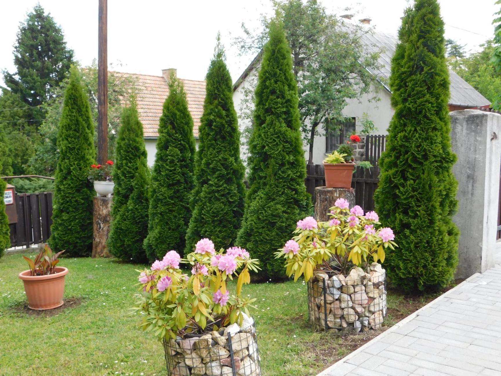 Fenyő Vendégház Paradsasvar Exterior foto