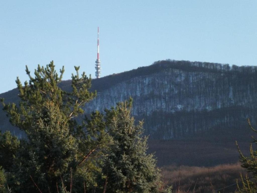 Fenyő Vendégház Paradsasvar Exterior foto